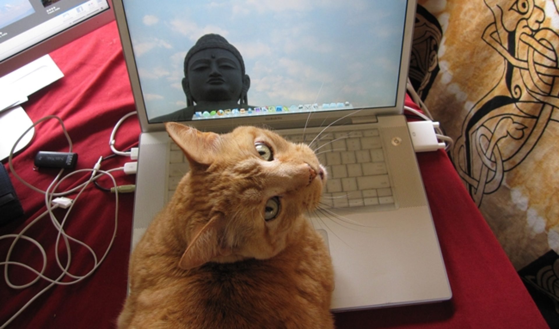 Global Networks QuizGroup, Rightster, Any.TV Rise Up In Online Video Rankings