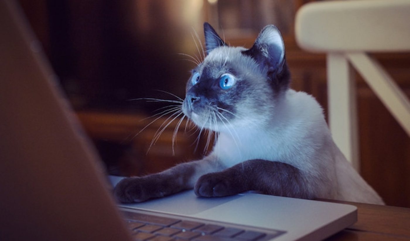 ComScore Data Is About To Become A Lot More Relevant