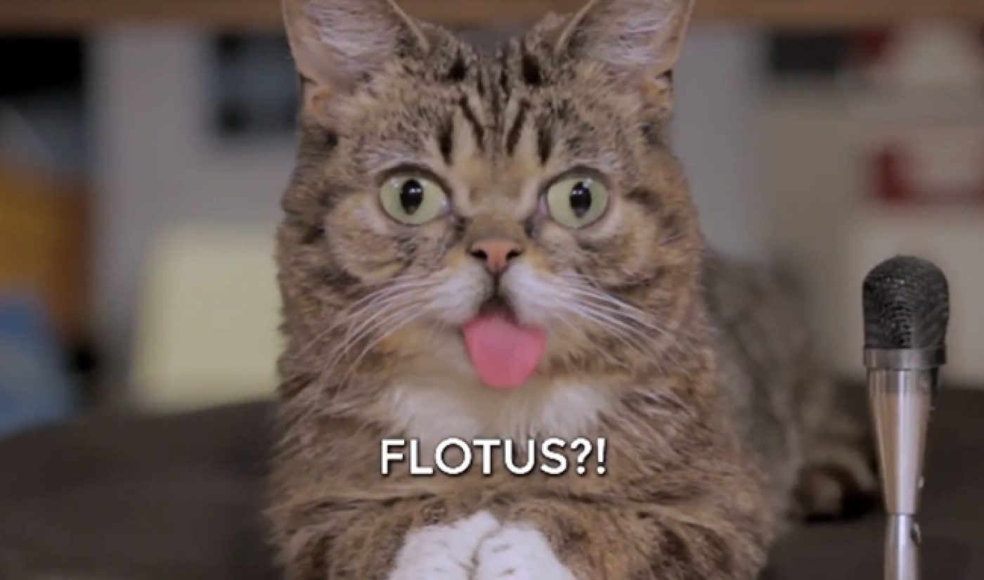 Michelle Obama Hangs With Adorable Internet Cat Lil Bub