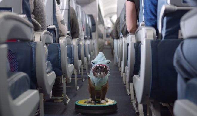 Delta Released The “Internetest” Of All Internet Safety Videos