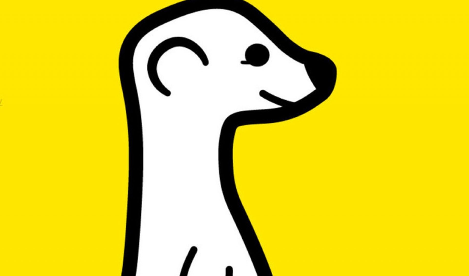 Meerkat Hires New Exec To Hunt For Content Partnerships
