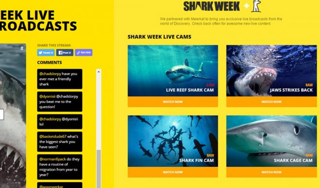 Discovery Live Streams Shark Week Through Meerkat