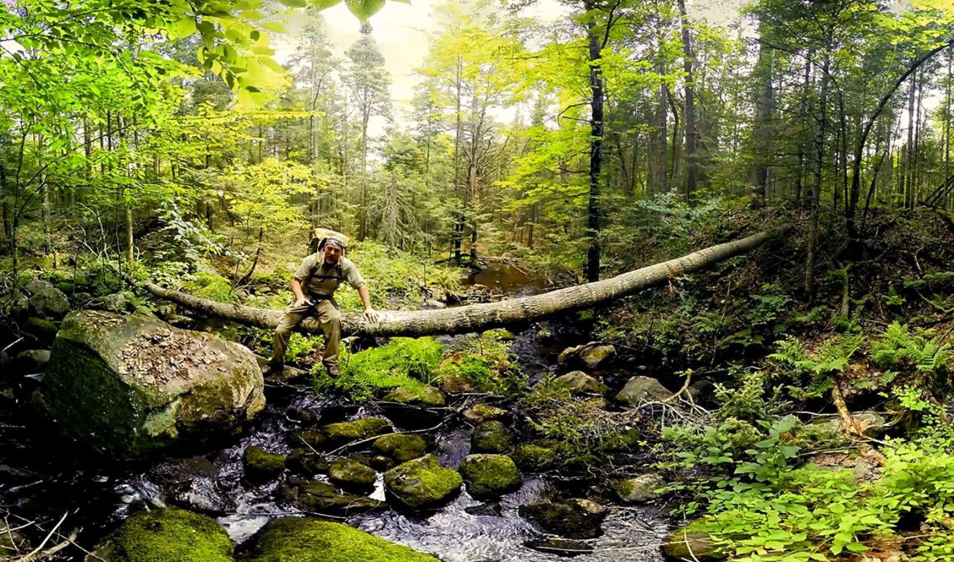 Discovery Swims With Sharks As Its VR Experience Debuts