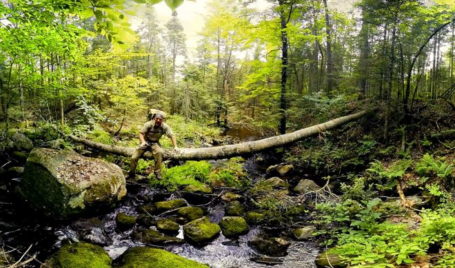 Discovery Swims With Sharks As Its VR Experience Debuts