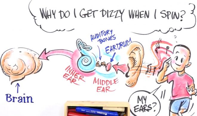 Animator Nathan Shields Teaches Kids Some ‘Little 101’ In PBS Web Series