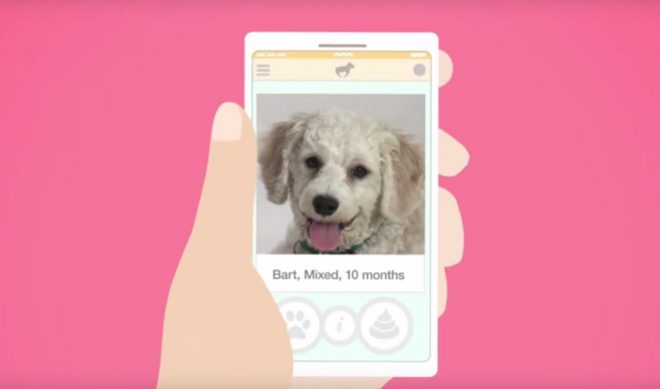 ‘Smart Girls’, ASPCA Team For Pet Adoption Series ‘Heavy Petting’