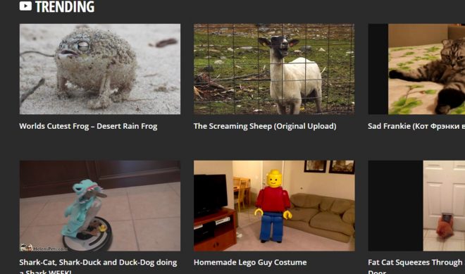 Rightster Licenses Viral Videos With New Video Spring Platform