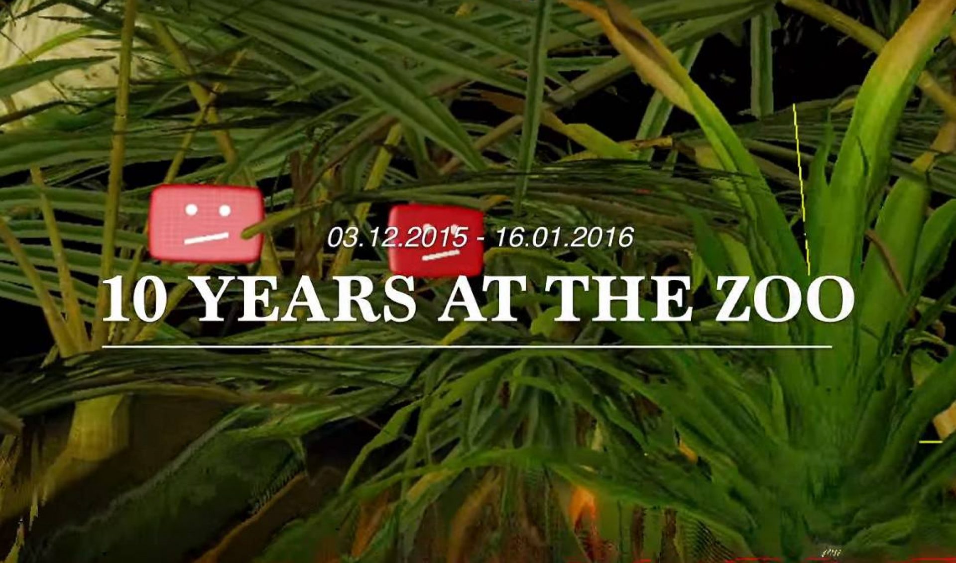 Video Artists To Host ‘Ten Years At The Zoo’ Art Exhibit Inspired By YouTube