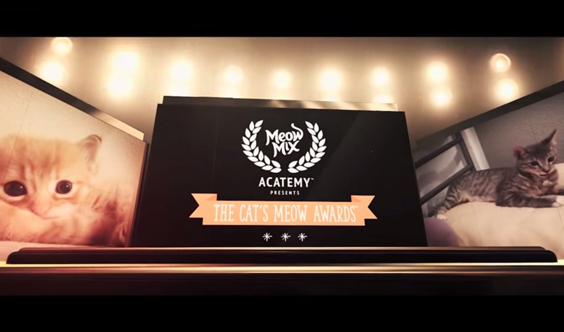 Meow Mix Crowns Top Felines With Cat’s Meow Awards