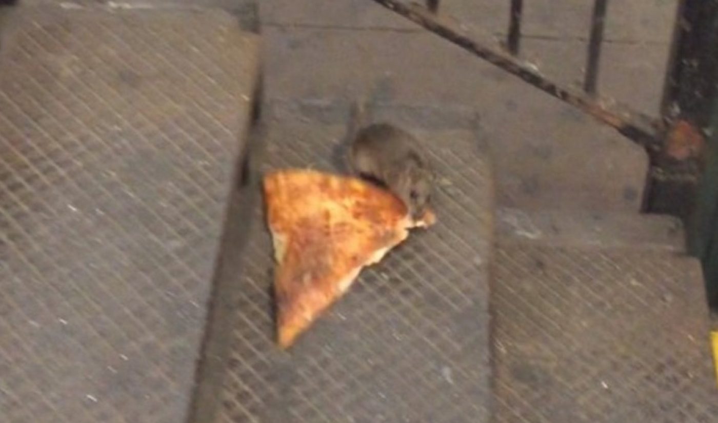 Anatomy Of Viral Videos: ‘Pizza Rat’ Vs. ‘Boston Sunfish’