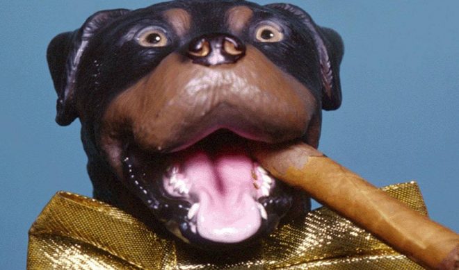 Hulu Will Run Triumph The Insult Comic Dog’s 2016 Election Special