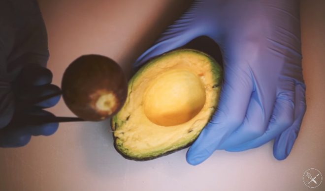  ‘The Food Surgeon’ Is YouTube’s Most Strangely Satisfying New Channel