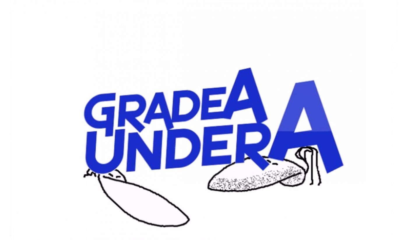 YouTube Millionaires: GradeAUnderA’s “Zero-Budget Channel” Argues Its Way To The Top