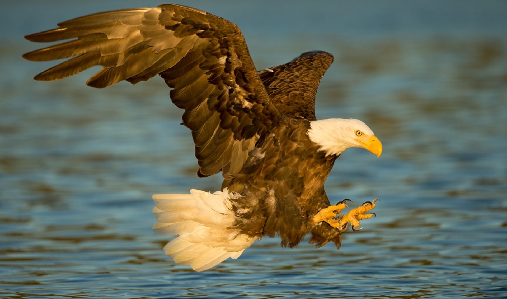 National Geographic Gets 780,000 Snapchat Views Per Day, Plans Video Series On Instagram