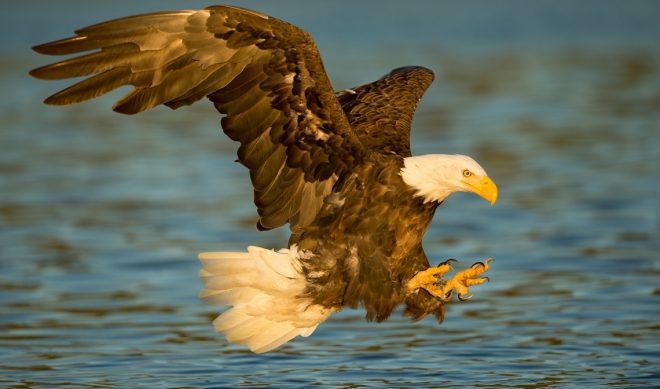 National Geographic Gets 780,000 Snapchat Views Per Day, Plans Video Series On Instagram