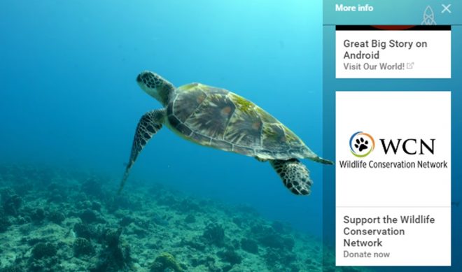 CNN’s Great Big Story Harnesses YouTube’s Donation Cards For Charity