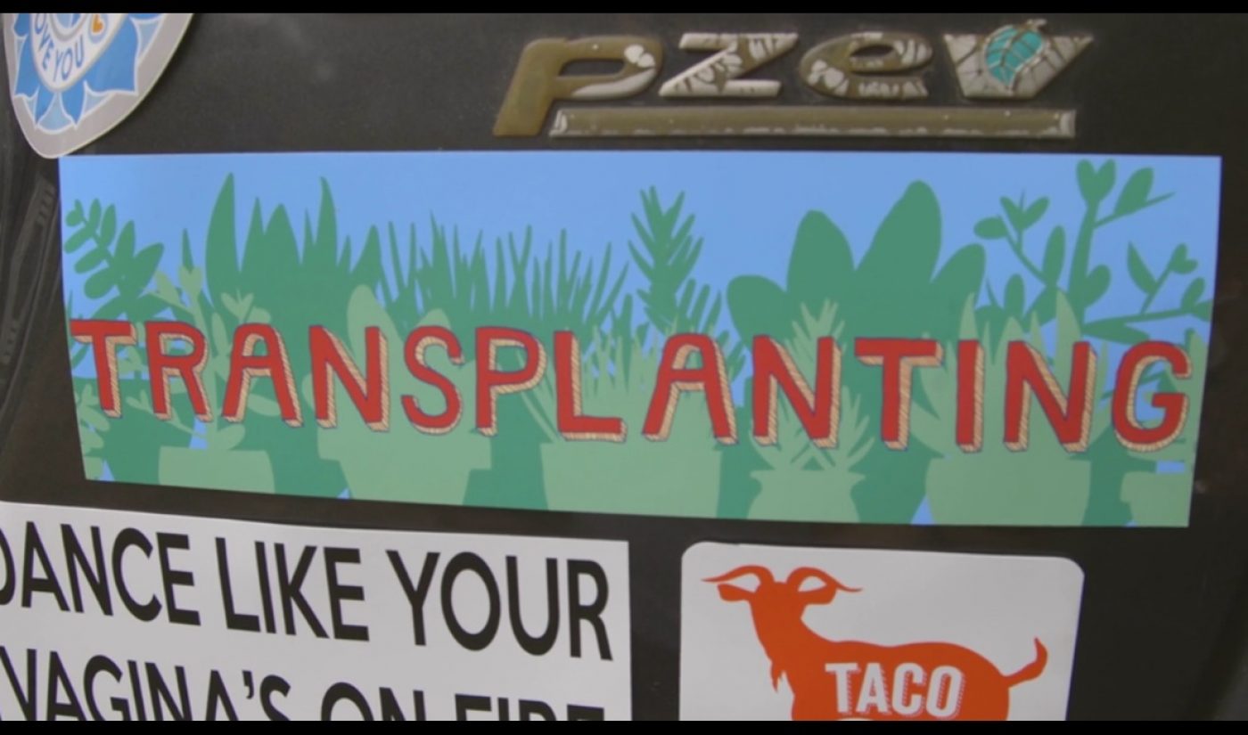 Indie Spotlight: ‘Transplanting’ Tells A Fish-Out-Of-Water Story In Appalachia