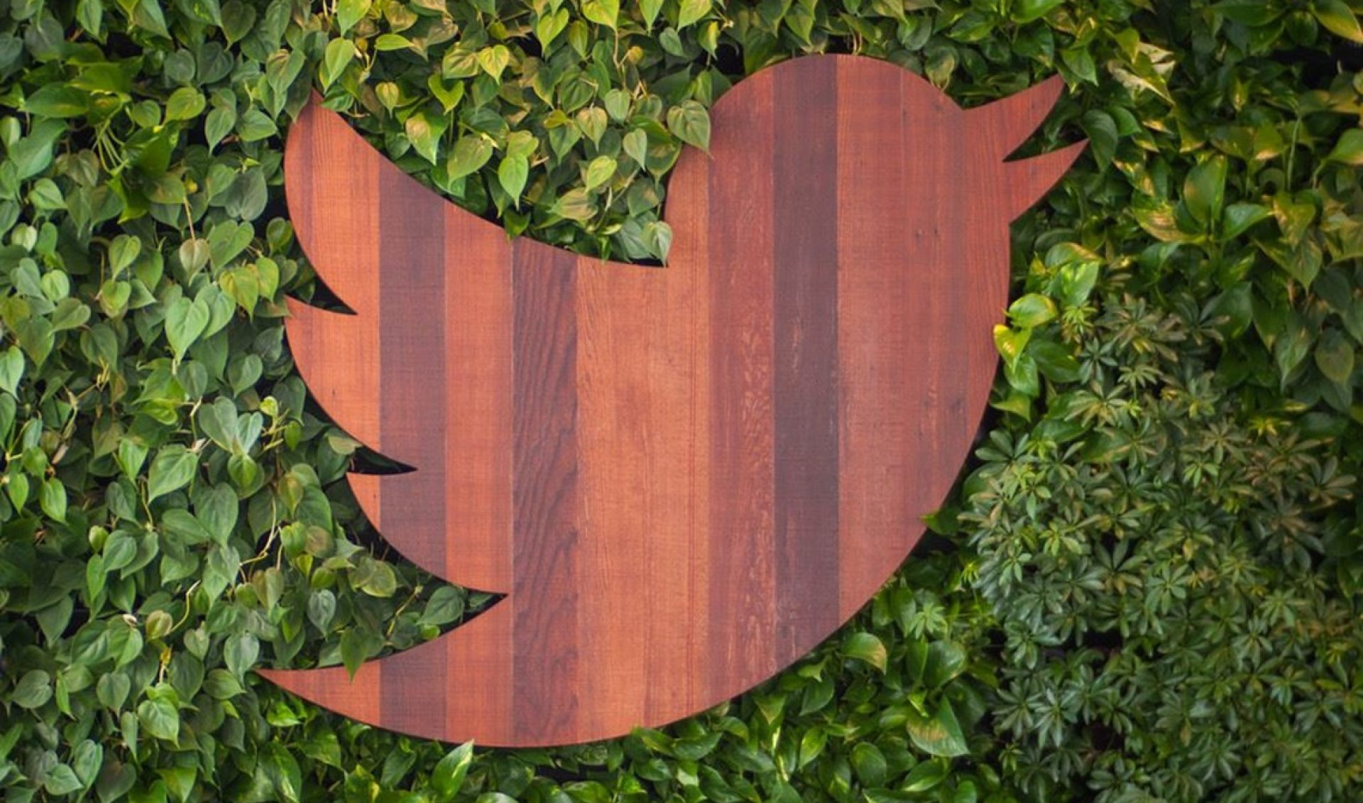 Twitter Launches Smart TV Apps Ahead Of First Thursday Night Football Stream Tonight