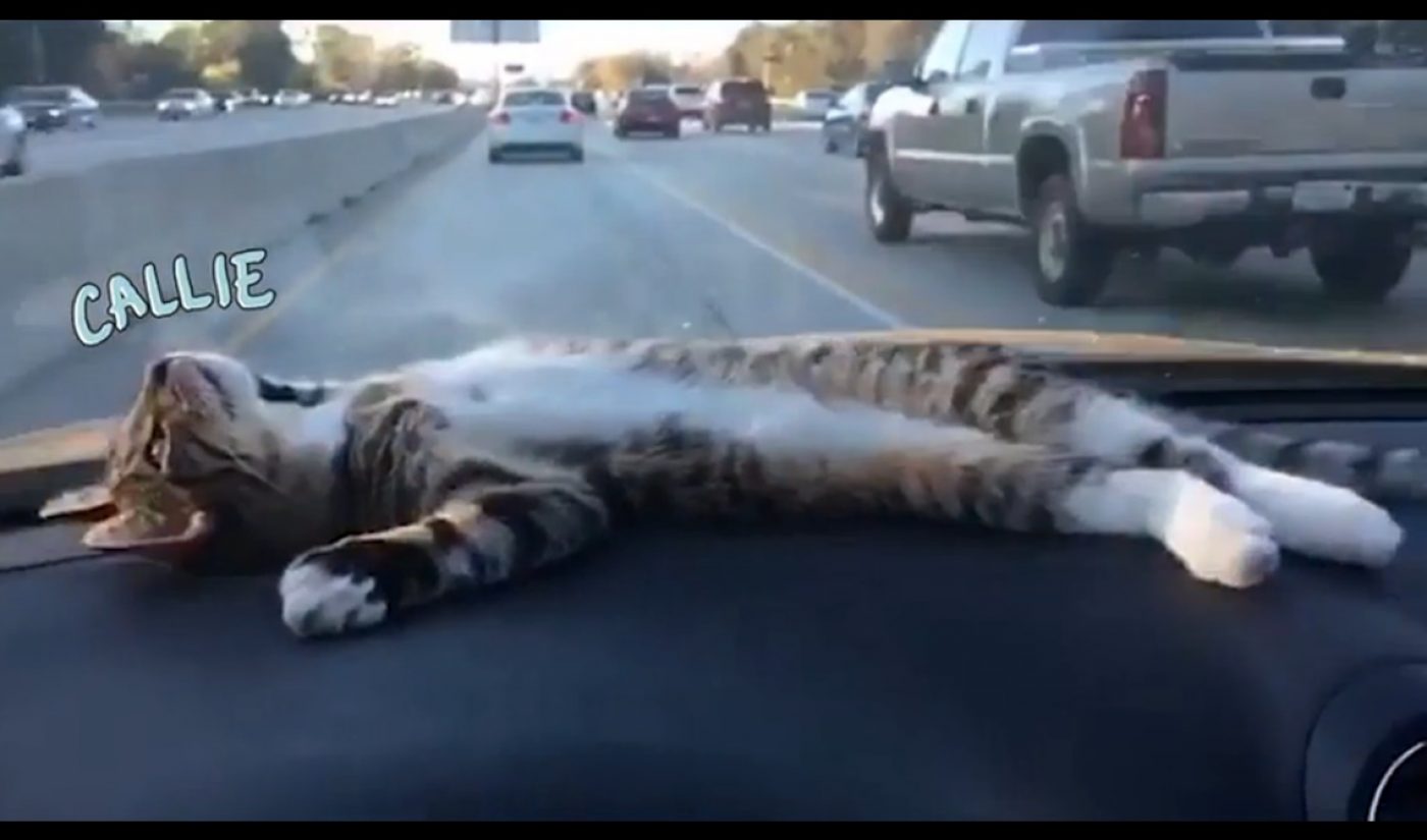 Jukin Media’s Web Series On Comcast’s Watchable Expresses Human Thoughts Through Animals