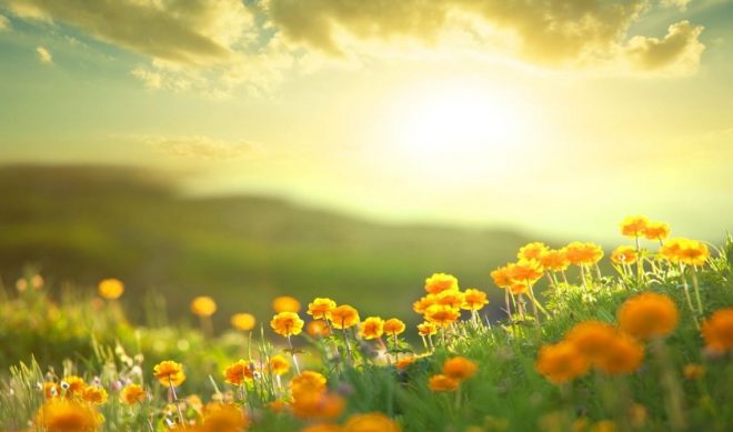 Online Video Advertising Is Most Impactful In The Early Morning Hours (Study)