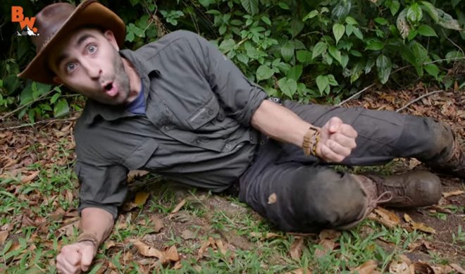 YouTube Channel Brave Wilderness Completes Tour Of World’s Most Painful Stings