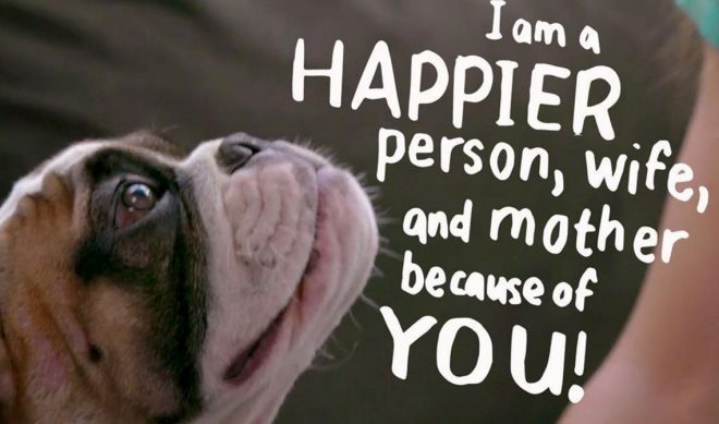 SoulPancake, Purina Puppy Chow Team Up For Charity Campaign