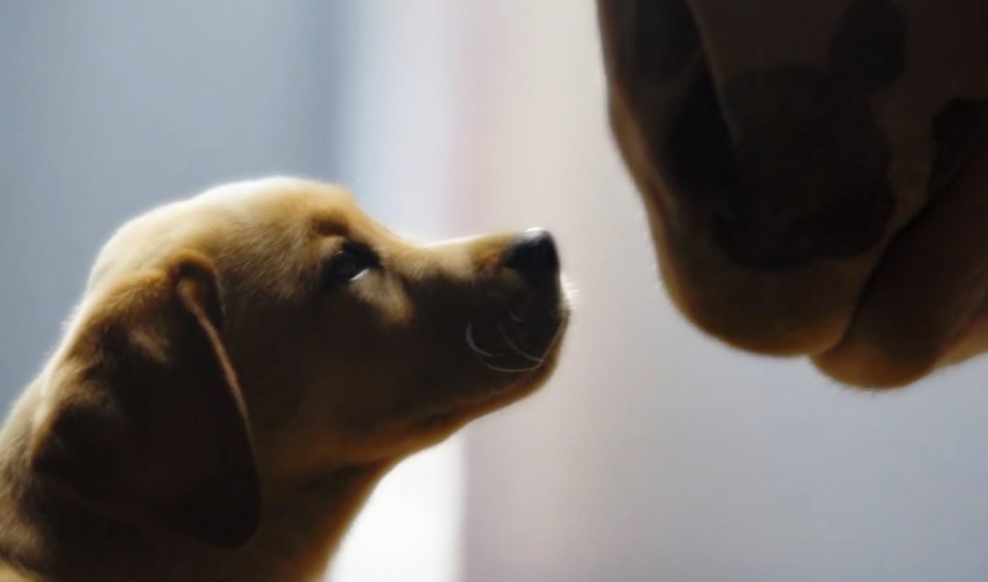 Top 20 Super Bowl Ads Of Past Nine Years Have Driven 440 Million Minutes Of YouTube Watch Time