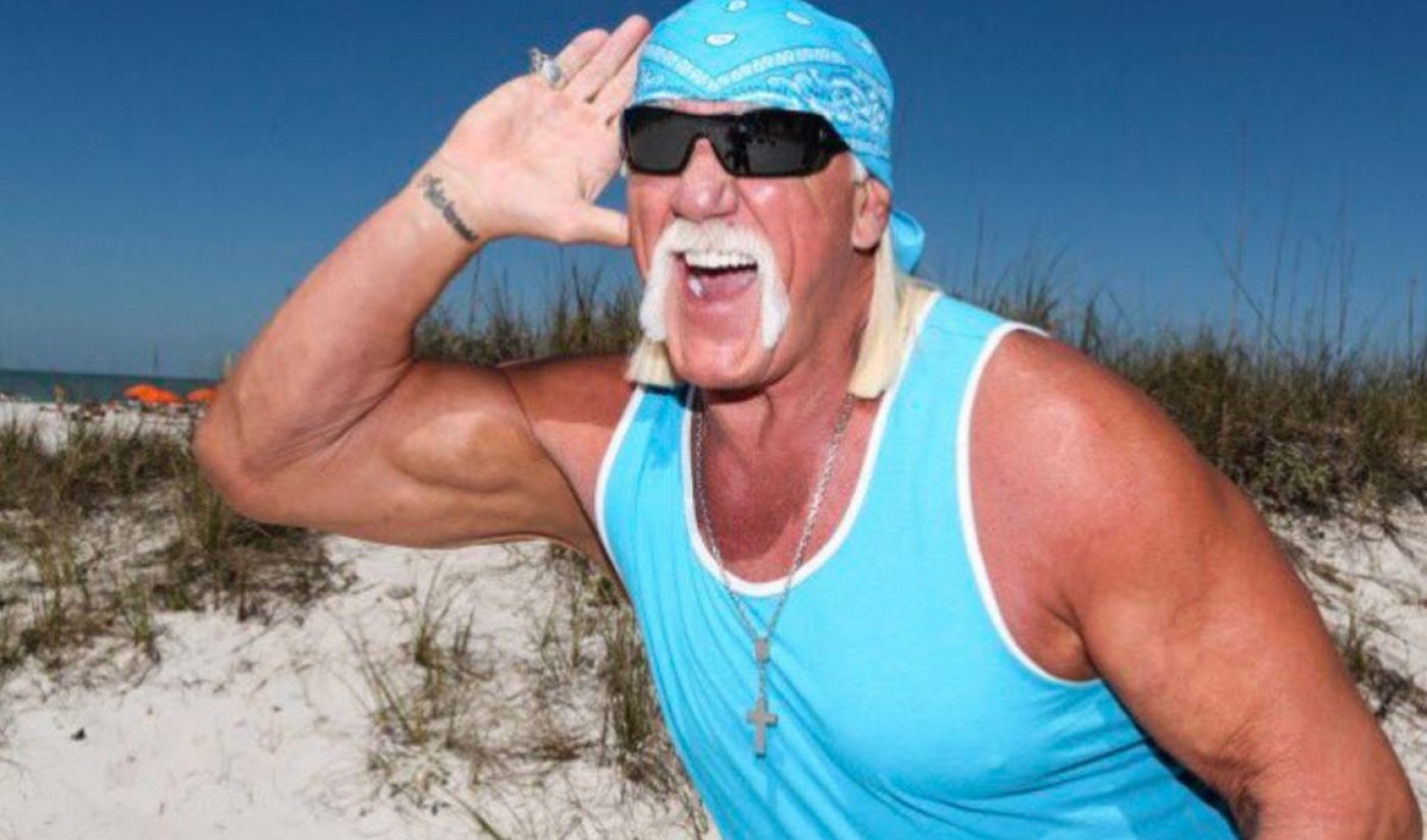 Netflix Buys ‘Nobody Speak’ Doc About Hulk Hogan’s Legal War With Gawker