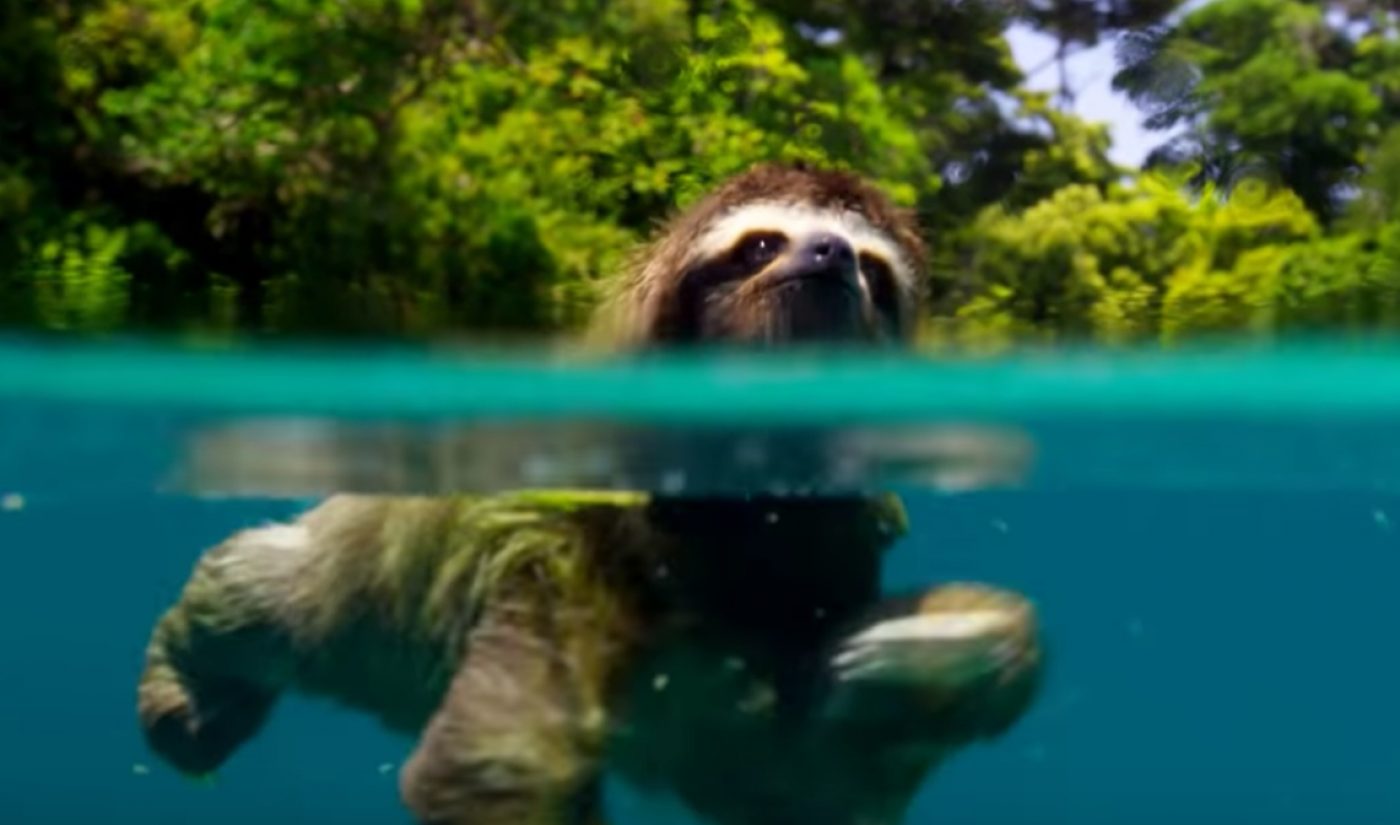 Snapchat Adds BBC To Discover Section With ‘Planet Earth II’ Companion