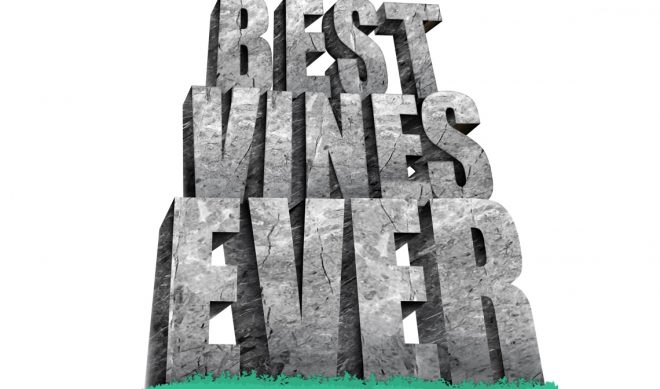 Submissions Open Now For The BEST VINES EVER!