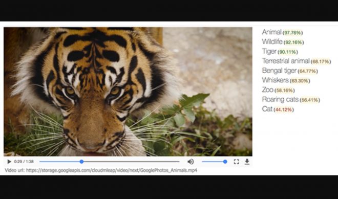 Google Has Built An AI That Can Visually Identify Search Terms Within Videos