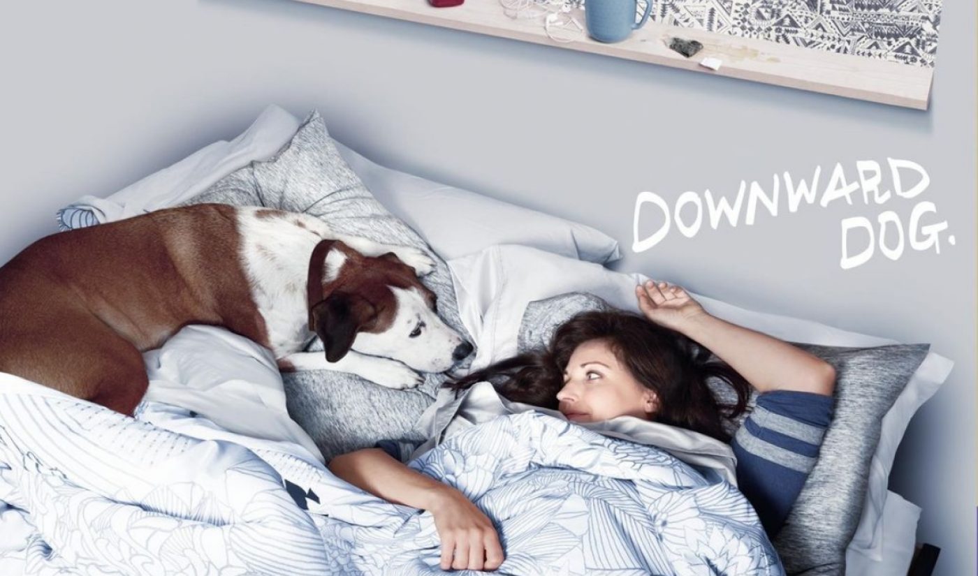 ABC’s ‘Downward Dog,’ Based Off A Web Series, Scores Positive Reviews