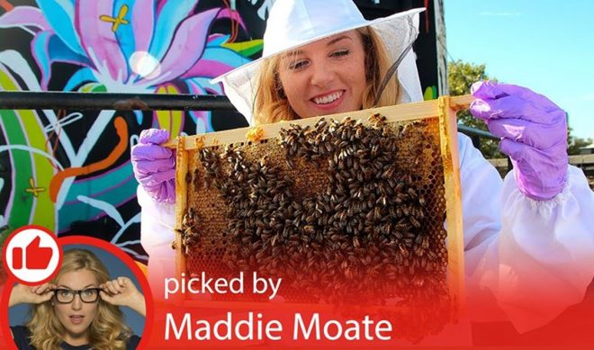 YouTube Kids To Launch #BackToSchool Initiative With Mayim Bialik, Maddie Moate