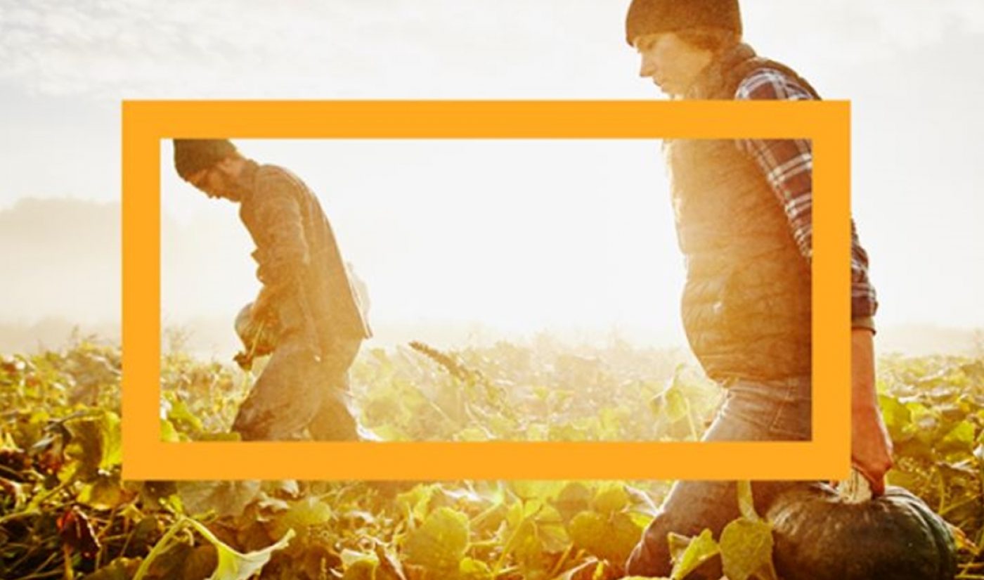 NowThis Debuts Food Vertical Alongside Launch Sponsor Campbell’s
