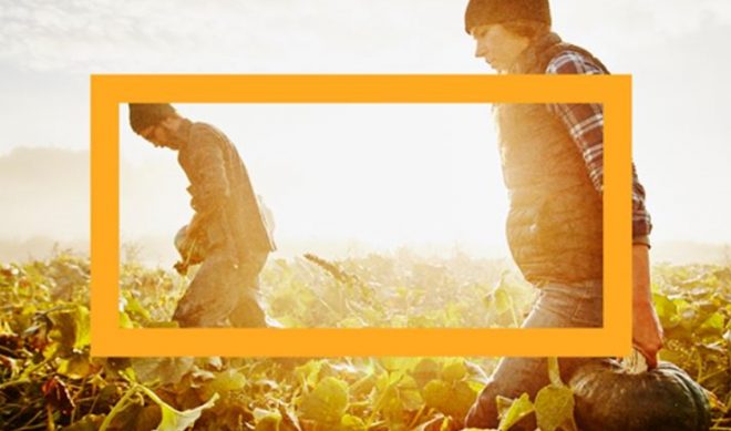 NowThis Debuts Food Vertical Alongside Launch Sponsor Campbell’s