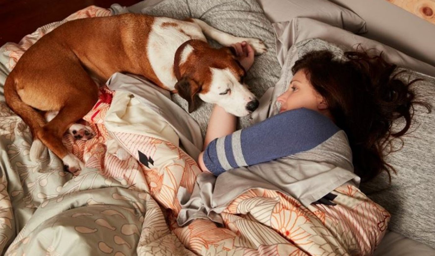 Group Nine To Make TV Debut With Dodo-Produced Series On Animal Planet