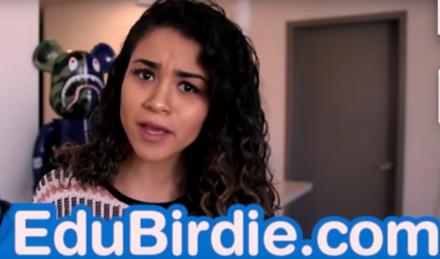 YouTube Removes Hundreds Of Videos To Quash Advertisements From “Academic Aid” EduBirdie