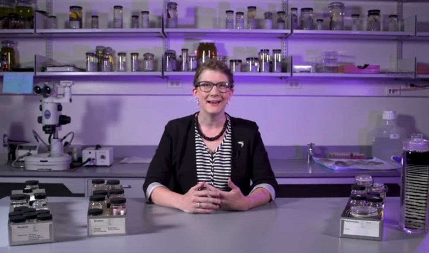 Female Science-Focused YouTubers Face Inordinate Amount Of Criticism, Study Finds