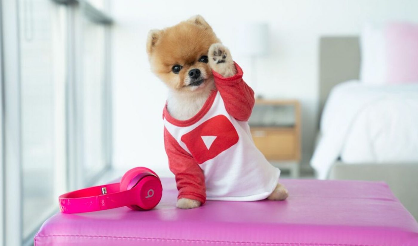 Famed Pomeranian Jiffpom Signs With Made In Network, Relaunches YouTube Channel