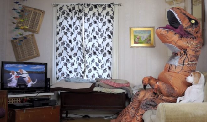 Creators Going Pro: How Maymo The Beagle Went From A Fleeting Viral Sensation To The Center Of A Full-Fledged YouTube Business