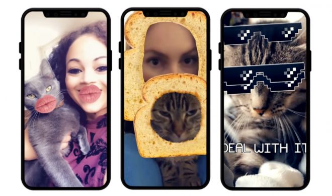 Snapchat Just Released A Meme-Filled Set Of Lenses For Cats