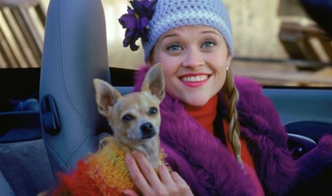 YouTube Now Offering 100 Films, Including ‘Rocky’ and ‘Legally Blonde’, For Free