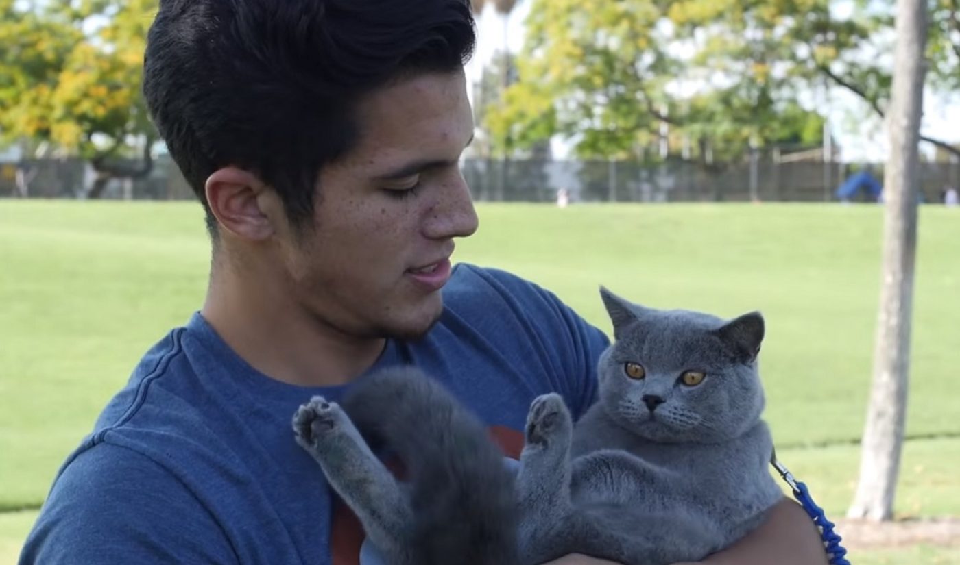 YouTube Millionaires: Aaron Benitez’s Special Effects Skills Make His Videos (And Their Star, A Cat Named Prince Michael) Look Like Magic