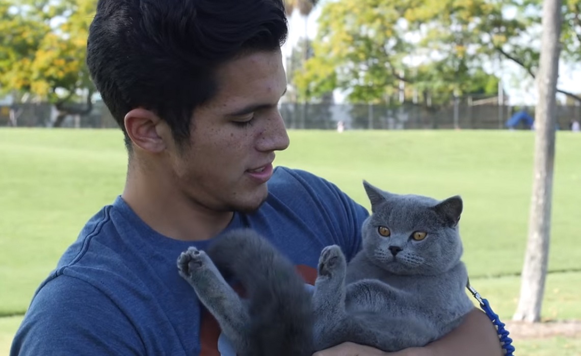 YouTube Millionaires: Aaron Benitez's Special Effects Skills Make His  Videos (And Their Star, A Cat Named Prince Michael) Look Like Magic -  Tubefilter