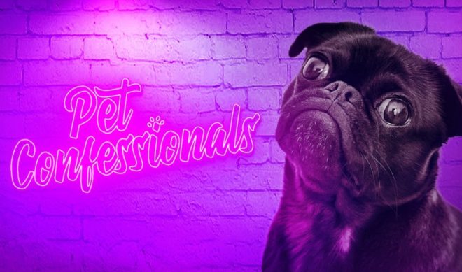 Jukin Reveals 5 New Non-UGC-Centric Shows Onstage At NewFronts West