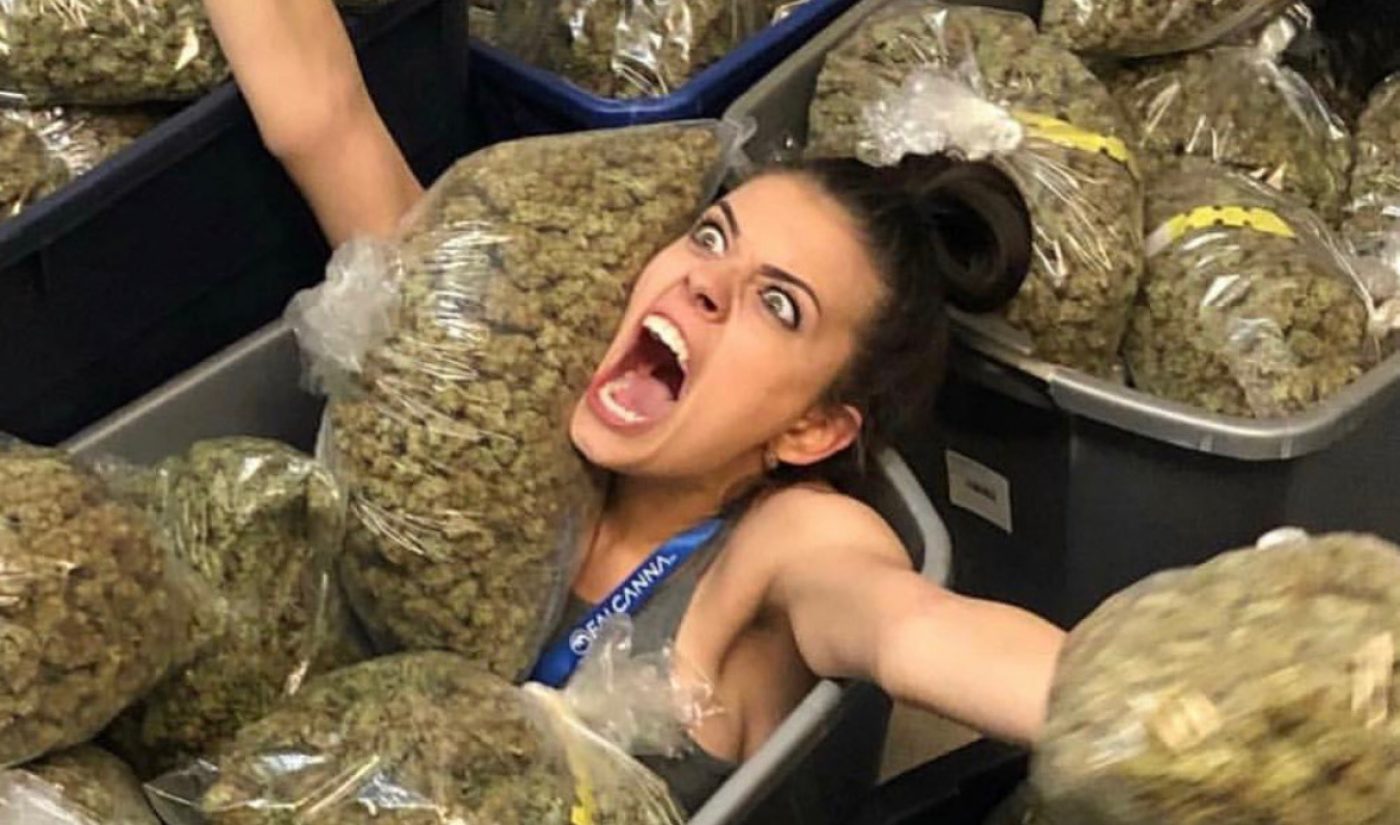 Insights: As Social Media Sites Fiddle Over Cannabis Creator Bans, Public Health Suffers