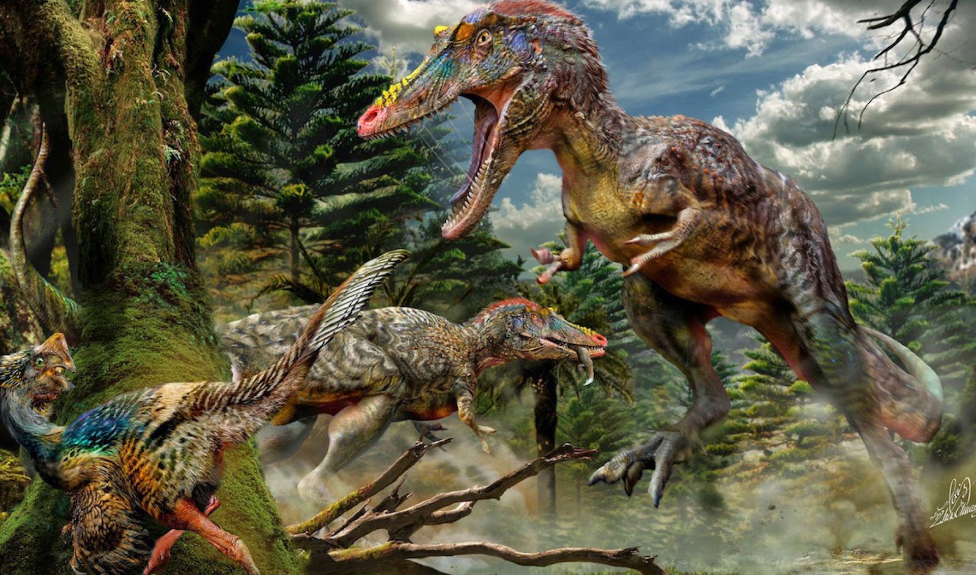 Insights: How Smaller VOD Services Can Attract Subscribers Amid Epic Competition