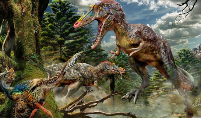 Insights: How Smaller VOD Services Can Attract Subscribers Amid Epic Competition