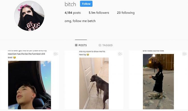 Instagram’s @bitch Isn’t Your Typical Social Video Aggregator. It Actually Credits Content Creators And Licenses Their Work.