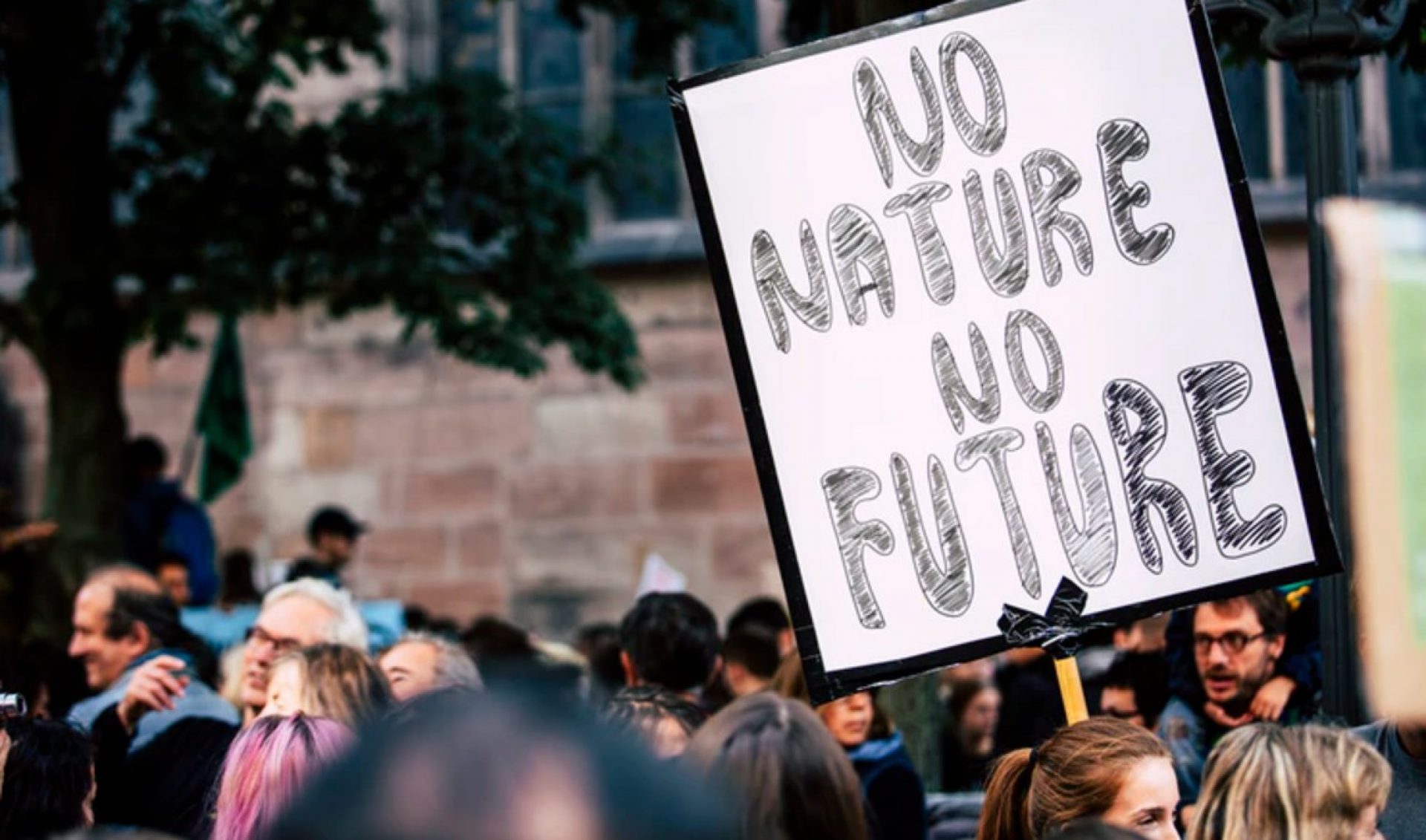 Congressional Committee Pens Letter Urging YouTube To Stop “Incentivizing Climate Misinformation”